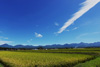 八ヶ岳全景 八ヶ岳全景