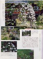 BISES 2004.10[秋号] 118ページ